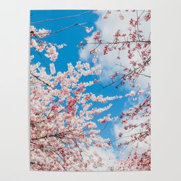 bloom Poster