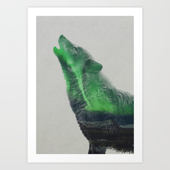 Discover the motif WOLF HOWLING IN THE AURORA BOREALIS by Andreas Lie as a print at TOPPOSTER