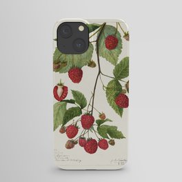 Blackberries (Rubus subg. Rubus Watson) (1910) by Amanda Almira Newton. iPhone Case