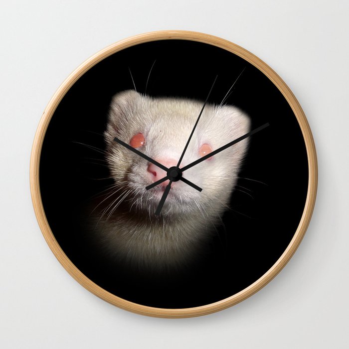 Albino Ferret black background Wall Clock