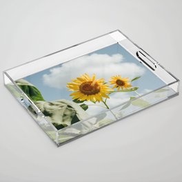 564 Sunflower Acrylic Tray | Sunflowers, Sunflower, Spring, Valentines, Summer, Yellow, Happy, Photo, Sky, Color 
