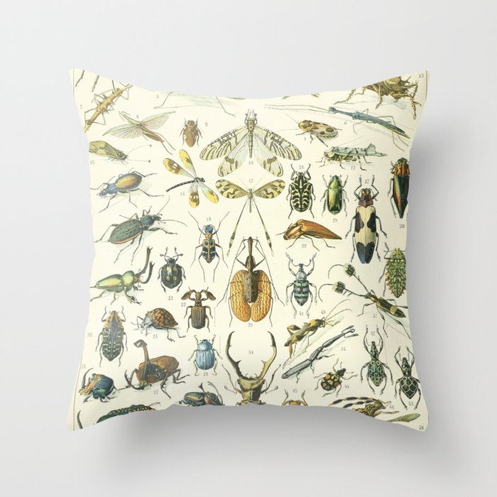 Vintage Insects Poster - Adolphe Millot Throw Pillow