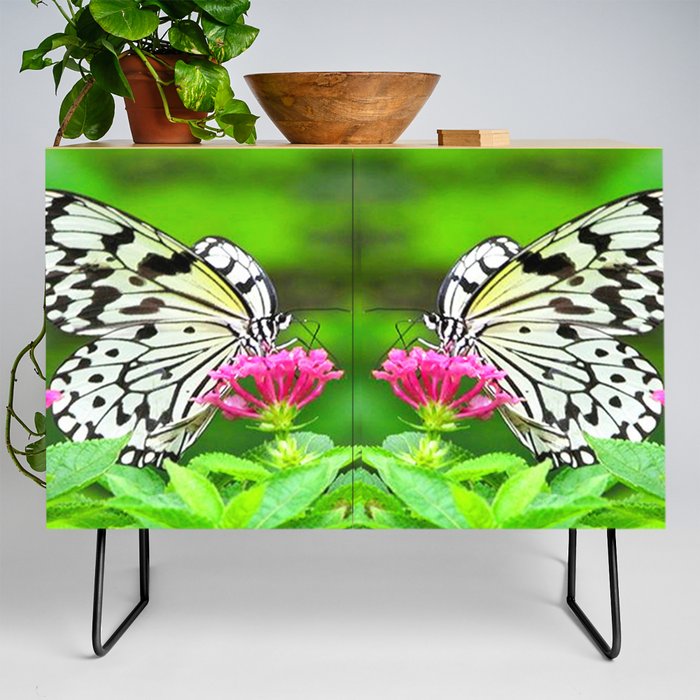 Butterfly and Pink Flowers Credenza