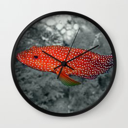 Red Coral Cod Wall Clock