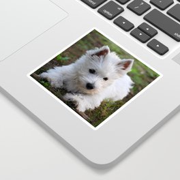 Westie puppy Sticker