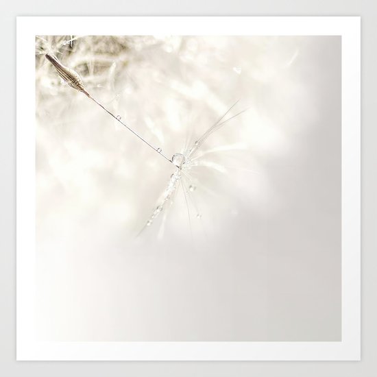 Sparkling dandelion seed head with droplet Art Print