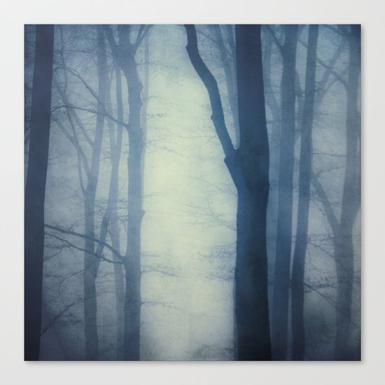 waning lines Canvas Print