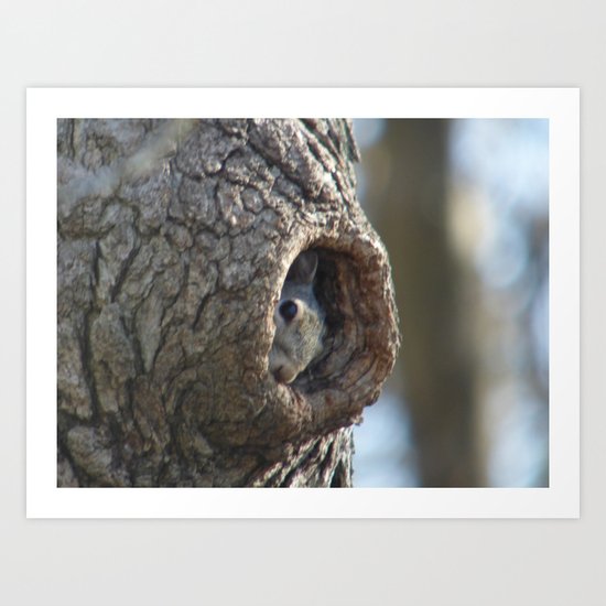 Peek A Boo Squirrel 2014 Art Print