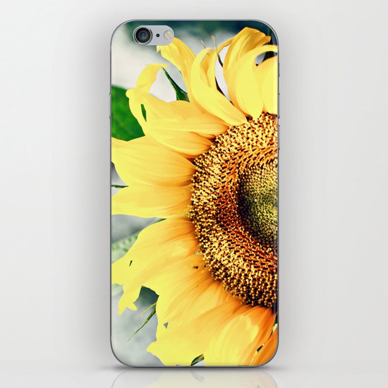 Sunflower's better half iPhone & iPod Skin