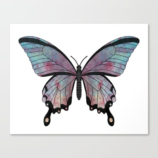 rainbow swallowtail (Papilio regnbogi) Canvas Print