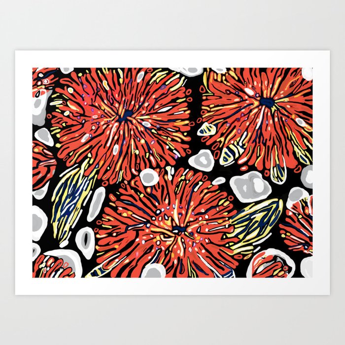 Banksia Blossoms Art Print