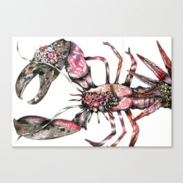 Aphrodisy  lobster Canvas Print