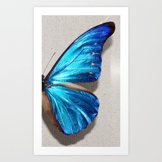 Morpho Art Print