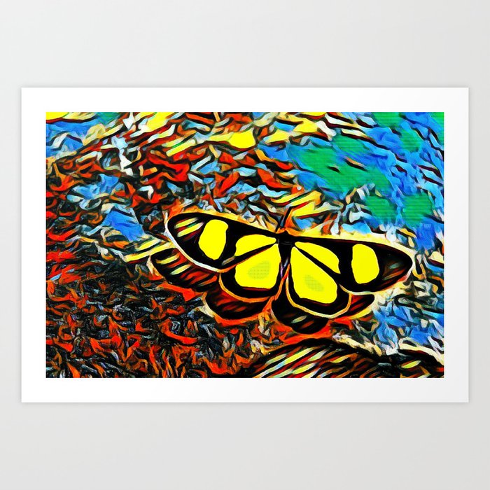 Butterfly Colorful Butterfly Watercolor Color Splash Butterfly