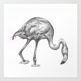 Flamingo Art Print