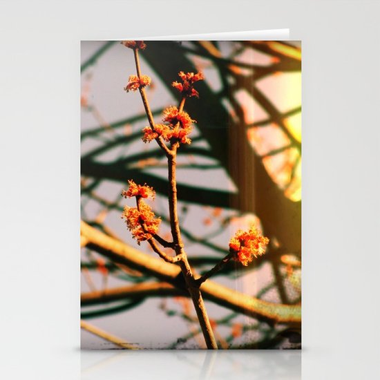 Spring Stationery Cards