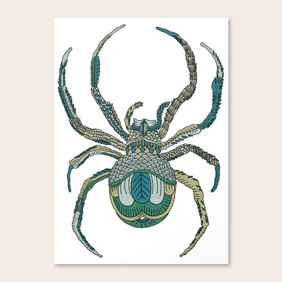 Spider Canvas Print