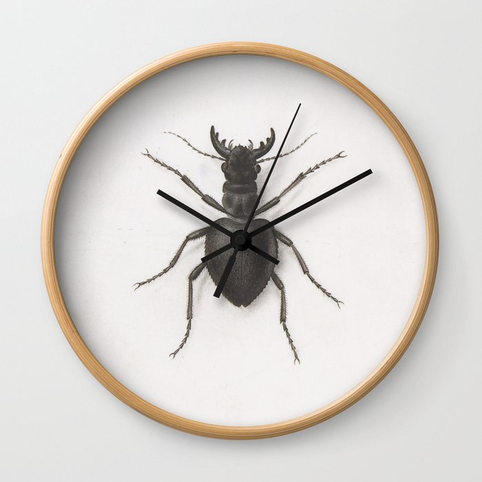 Pierre Joseph Redouté - A Stag Beetle Wall Clock