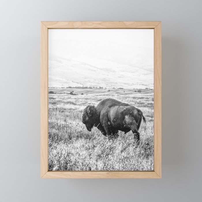 Un Bison Framed Mini Art Print