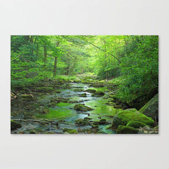 Rocky Forest Creek Canvas Print