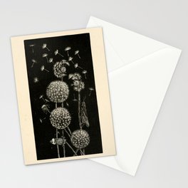Dandelion with locust by Anna Botsford Comstock, early 1900s (benefitting The Nature Conservancy) Stationery Card