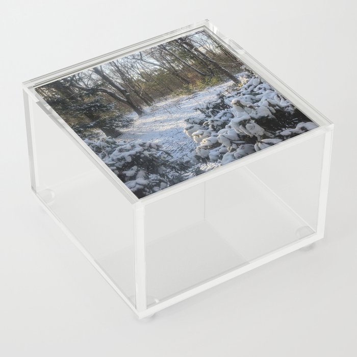 Snowy Woods Acrylic Box
