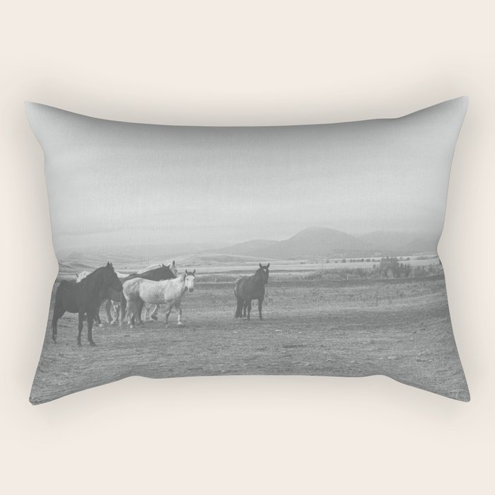 Rectangular Pillow