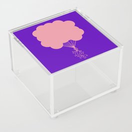 Pink Party Balloons Silhouette Acrylic Box