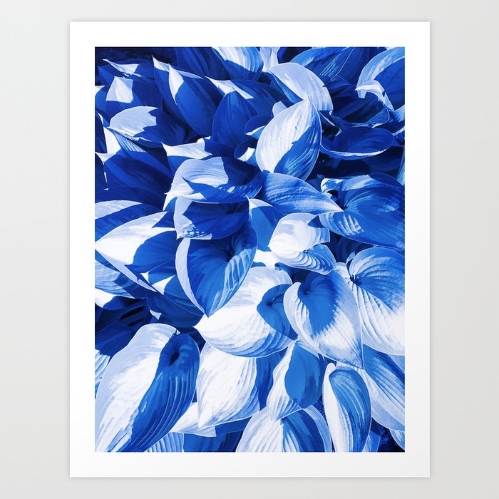 Botanic leafage - cobalt Art Print
