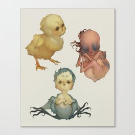 Harpy Hatchlings Canvas Print