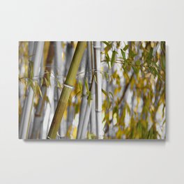 Bambuswald abstrakt Metal Print | Landscape, Photo, Abstract, Nature 