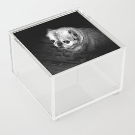Brussel Griffon Black White Acrylic Box