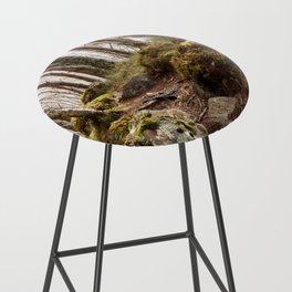 Magical Woods of the Scottish Highlands Bar Stool