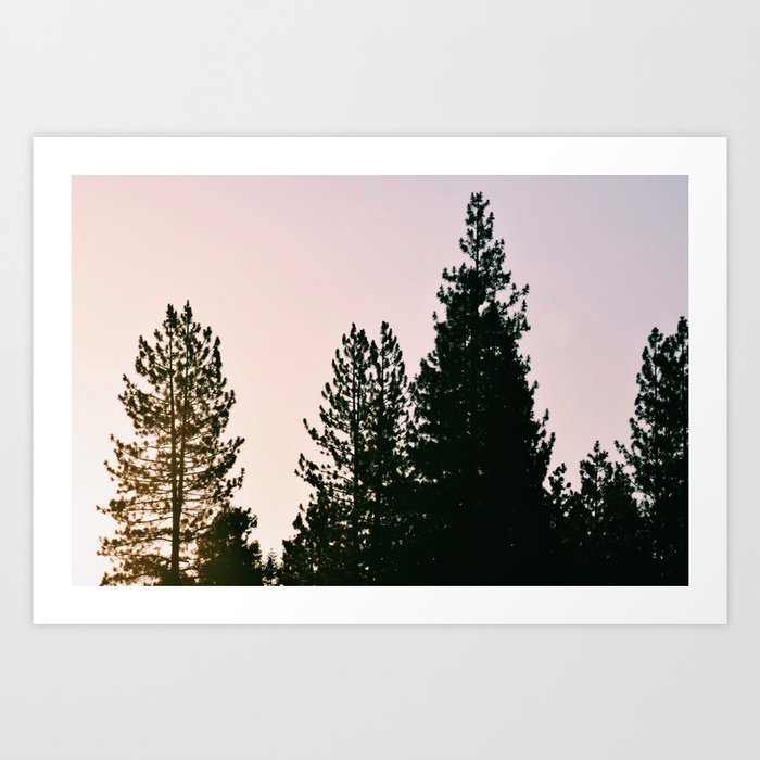 Trees in Morning Light Art Print