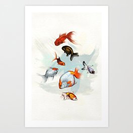 Goldfish Art Print