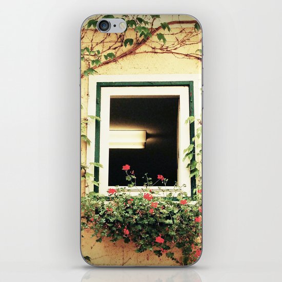 Window and ivy iPhone & iPod Skin