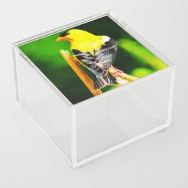 Bright Yellow Feathers  Acrylic Box