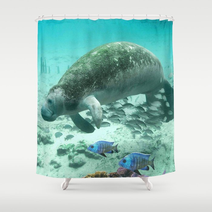 Large Manatee Shower Curtain By Judyskowron Society6