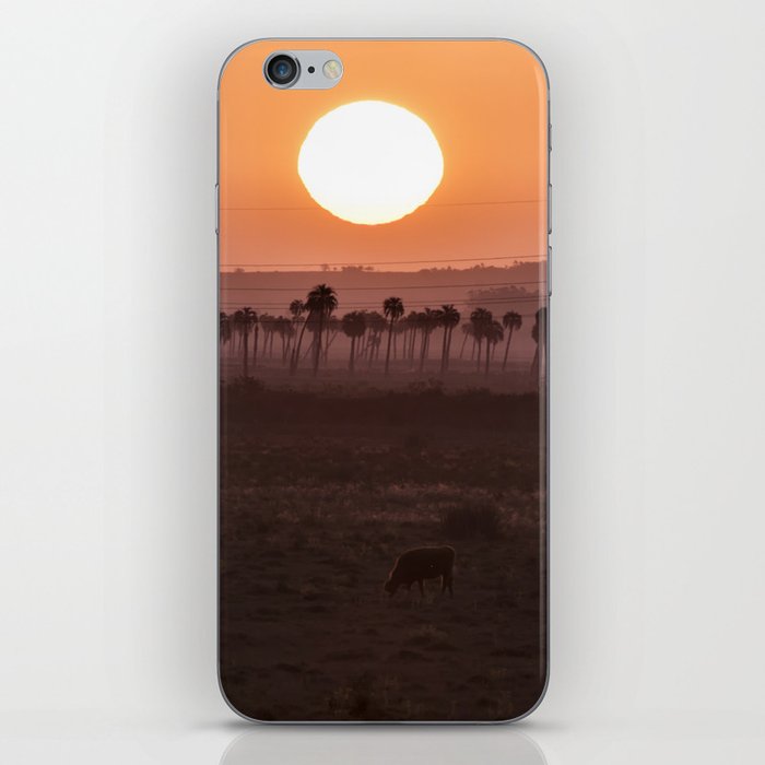 Sunset in the palm trees iPhone Skin