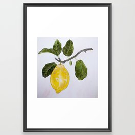 Lemon branch  Framed Art Print