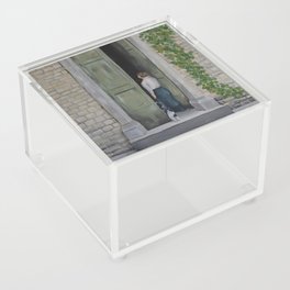 Going In and Out Acrylic Box