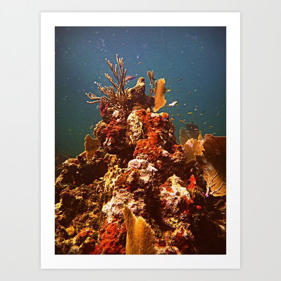 Sea Life Art Print
