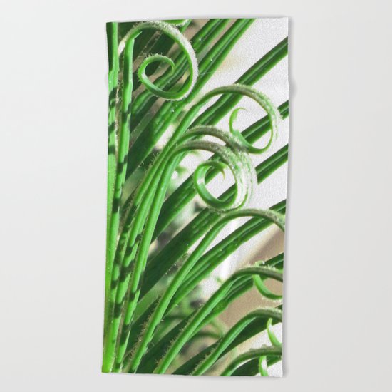 Cycad Beach Towel