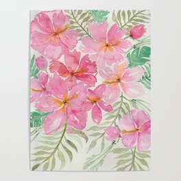 Tropical Pink Hibiscus Watercolor Flowers Poster