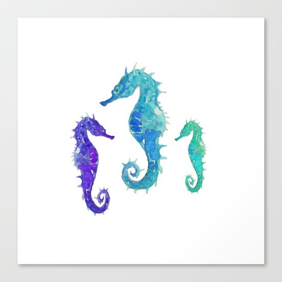 Seahorses Canvas Print