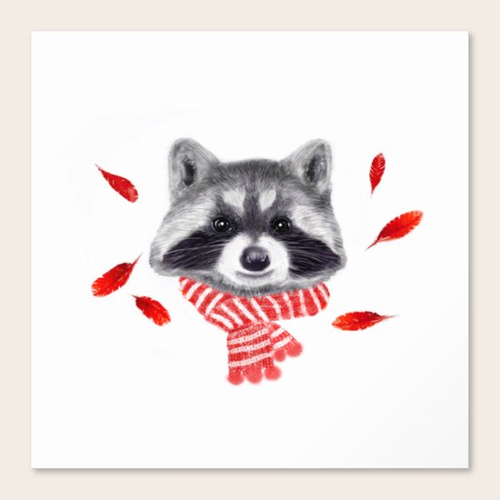 Racoon Canvas Print