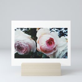 Afternoon Flowers Mini Art Print