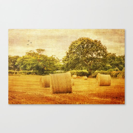 A day in the countryside Canvas Print