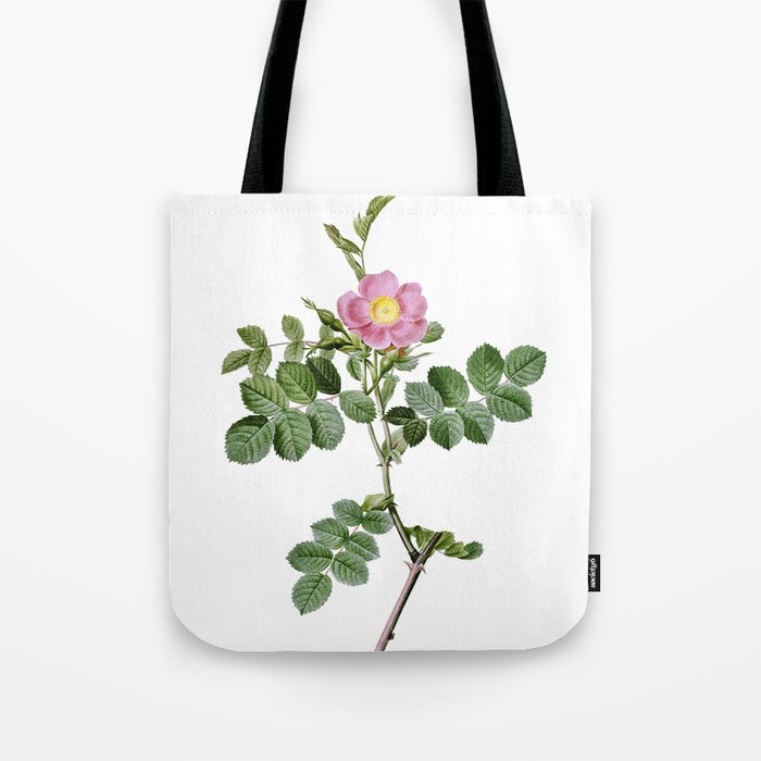 Vintage Pink Sweetbriar Rose Botanical Illustration on Pure White Tote Bag