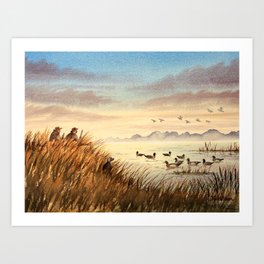Duck Hunting for Wood Ducks Art Print